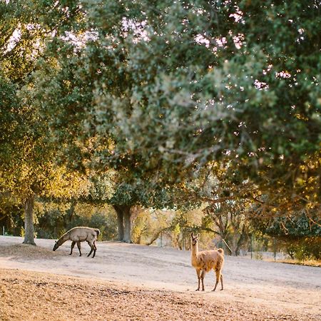 Domaine Naturiste De Riva Bella Linguizzetta 外观 照片
